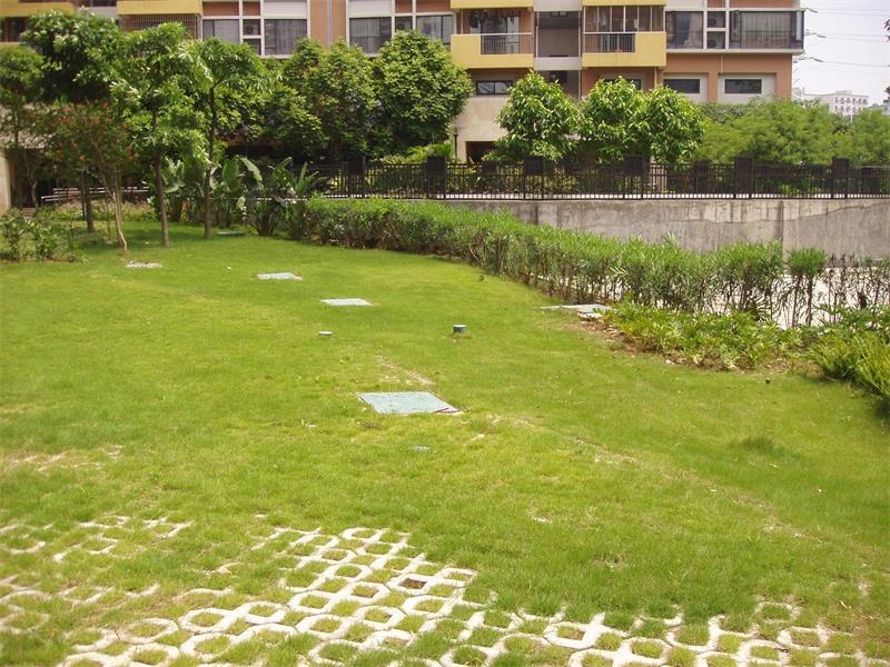 ������ˮ����վ250t/��