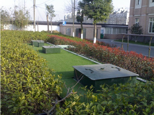 ��ˮ��������100t/��