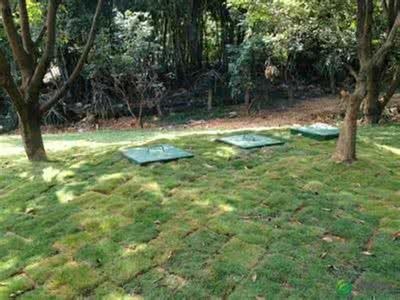 ��ˮ��������200t/��