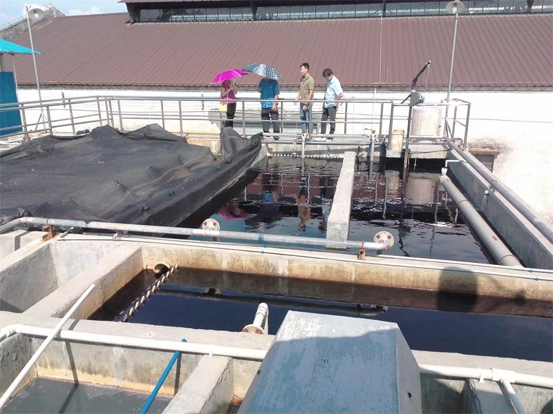 ��ˮ��������200t/��